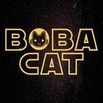 Слушать альбом - Boba Cat (2017)
