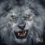 Слушать альбом - Slum Lords 2 (2017)