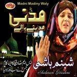 Слушать альбом - Madni Madiny Waly (2018)