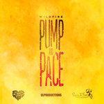 Слушать альбом - Pump and Pace (2017)