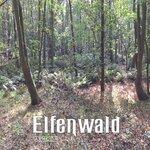 Слушать альбом - Elfenwald (2019)