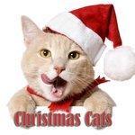 Слушать альбом - Christmas Cats (2009)