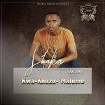 Слушать альбом - Kwa-Khuzu-Malume (2017)
