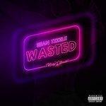 Слушать альбом - Wasted (2017)