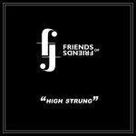 Слушать альбом - High Strung (2017)