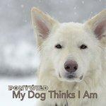 Слушать альбом - My Dog Thinks I Am (2017)