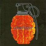 Слушать альбом - Use Your Brain (1995)