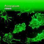 Principium (2018)
