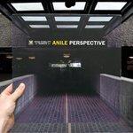Perspective (2015)