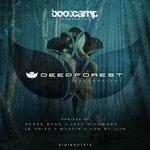 Слушать альбом - Deep Forest (2012)