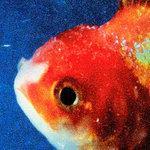 Слушать альбом - Big Fish Theory (2017)