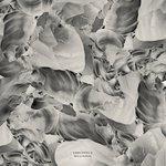 Слушать альбом - Ideas of Aesthetics (2017)