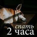 Слушать альбом - Спать 2 часа (2018)