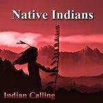 Native Indians (2014)