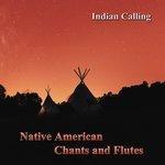 Слушать альбом - Native American Chants and Flutes (2017)
