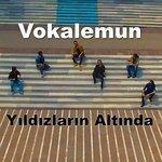 Слушать альбом - Yıldızların Altında (2017)