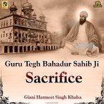 Guru Tegh Bahadur Sahib Ji Sacrifice (2017)