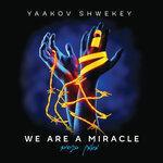 Слушать альбом - We Are a Miracle (2016)