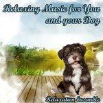 Слушать альбом - Relaxing Music for You and Your Dog (2013)