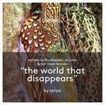 Слушать альбом - The World That Disappears (2017)