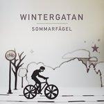 Слушать альбом - Sommarfågel (2013)