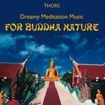 Слушать альбом - Buddha Nature: Music for Meditation (2003)