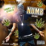 Слушать альбом - Numb (Skunk) - Single (2015)