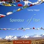 Слушать альбом - Splendour of Tibet (2010)