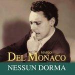 Nessun dorma (2011)