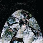 Friendly Fires (2008)