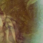 Слушать альбом - Novel (2017)
