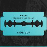 Слушать альбом - Shadow Of Mint (2018)