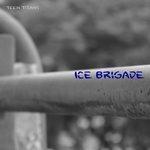 Слушать альбом - Ice Brigade (2017)