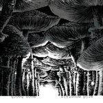 Слушать альбом - Acid Mountain (2018)