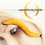 Слушать альбом - Thirteenth Step (2003)