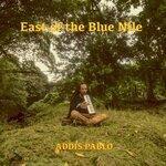 Слушать альбом - East of the Blue Nile (2019)