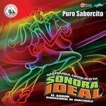Слушать альбом - Puro Saborcito. Música de Guatemala para los Latinos (2019)