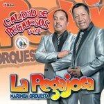 Слушать альбом - Calidad de Pegajosos Vol. 14. Música de Guatemala para los Latinos (2018)