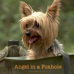 Слушать альбом - Angel in a Foxhole (2018)