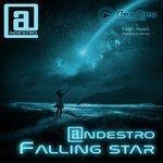 Falling Star (2018)