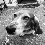 Слушать альбом - #Goals (2017)