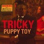 Слушать альбом - Puppy Toy (2009)
