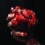 Слушать альбом - We Owe You Nothing (2017)