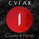 Слушать альбом - Один в поле (2018)