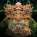 Слушать альбом - Codex VI (2017)