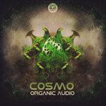 Слушать альбом - Organic Audio (2019)