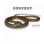 Слушать альбом - Serpent (2018)