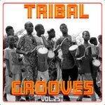 Слушать альбом - Tribal Grooves Vol. 25 (2018)