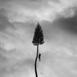 Слушать альбом - A Black Mile To The Surface (2017)