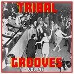 Слушать альбом - Tribal Grooves Vol. 45 (2018)
